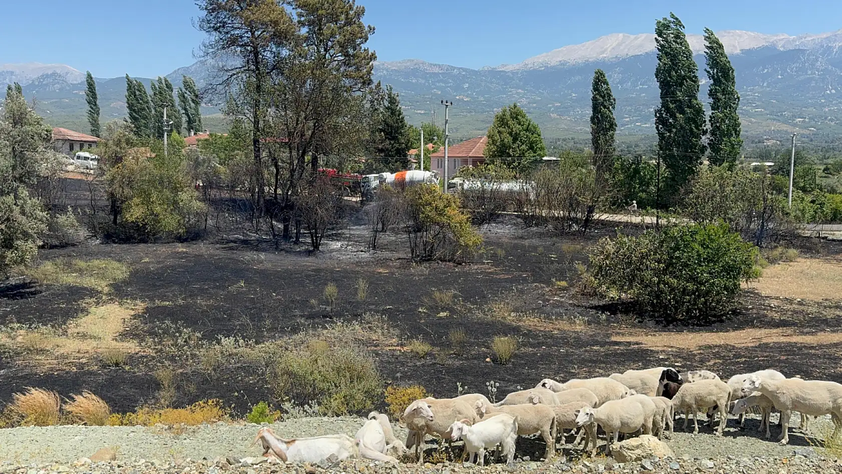 Seydikemer'de bariyer yapımı sırasında çıkan kıvılcımlar yangına neden oldu