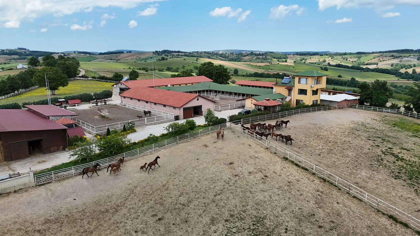 Genetik kodları milyon ediyor