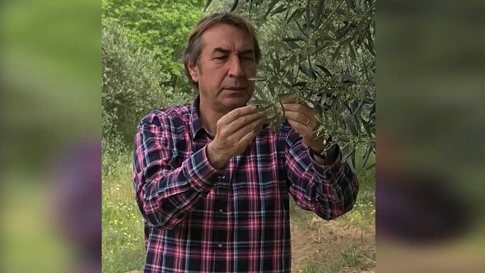 Zeytinyağında bu fiyatları 'yok yılı' gelmeden kaçırmayın