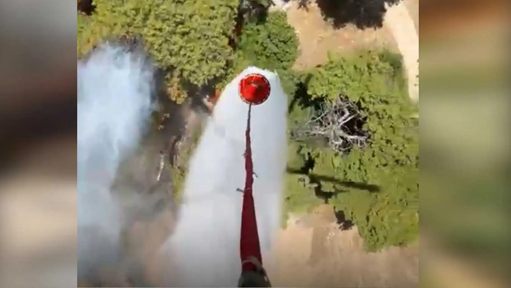 Antalya Muratpaşa'da orman yangını