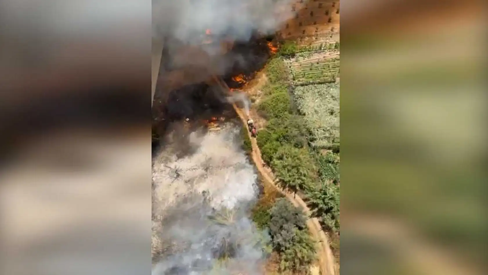 Antalya Muratpaşa'da orman yangını