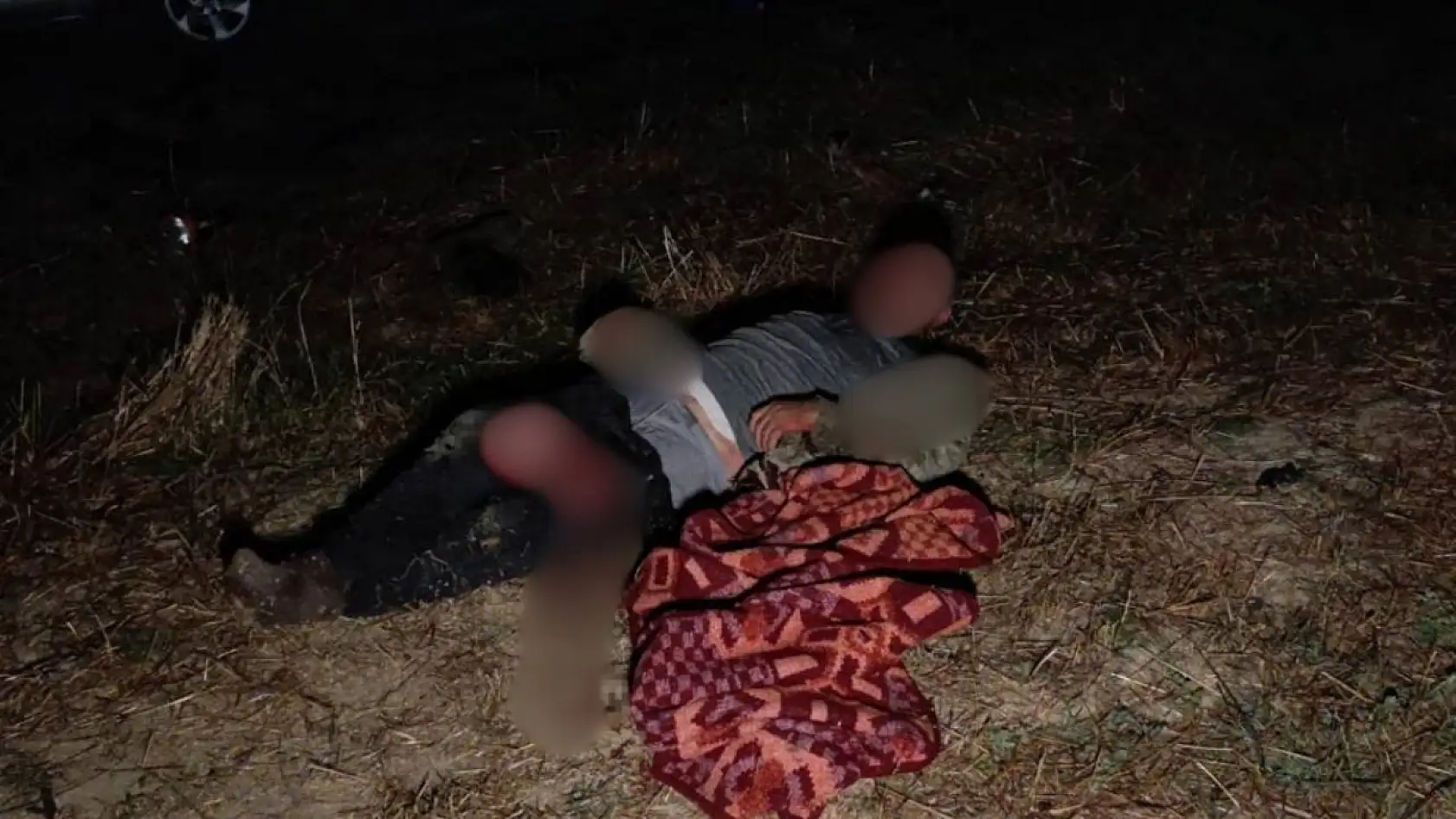 Aslanın saldırısına uğrayan çiftçi o anları anlattı: 'Biraz güçlü olmasaydım, şu anda bende belki de yoktum'
