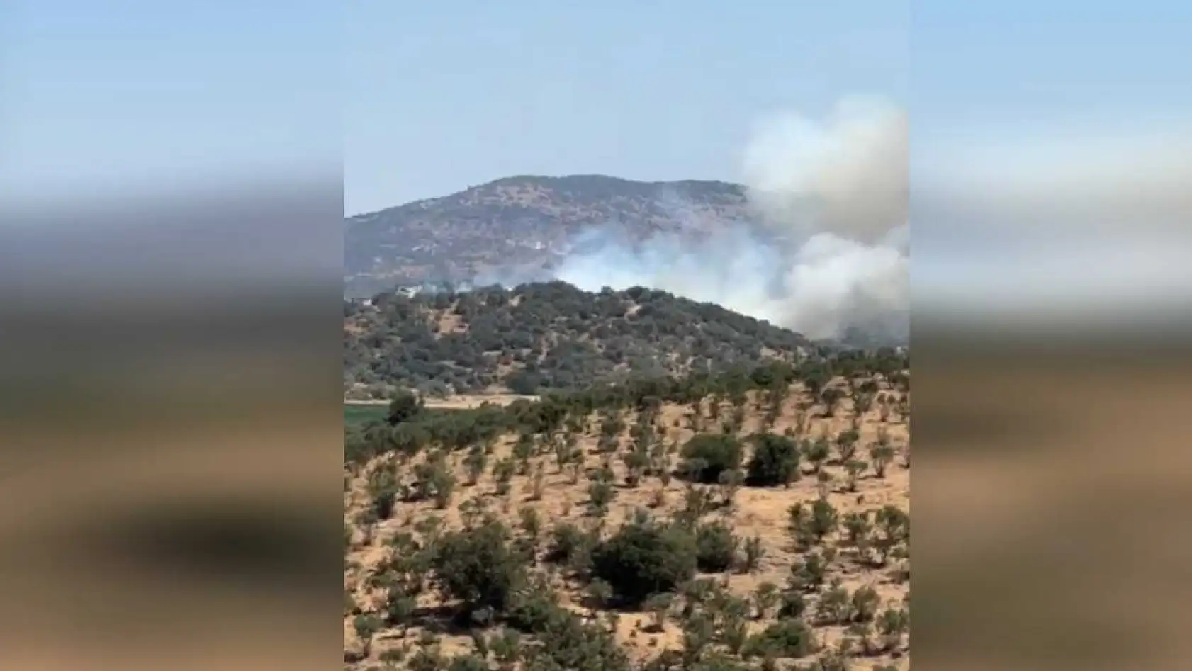 Milas'ta dumanlar yükseldi, müdahale sürüyor