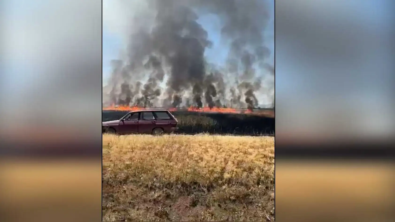 Traktörün kepçesinin elektrik tellerine temas etmesi ile çıkan yangında 50 dönüm arazi yandı