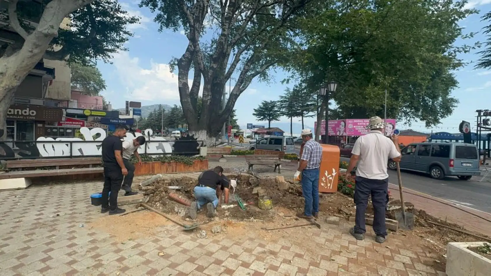457 yıllık tarihi ağaç yıkıldı, facianın eşiğinden dönüldü
