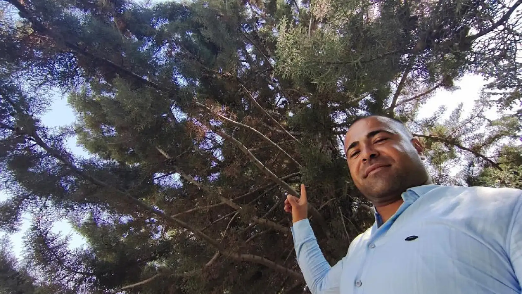 Ağaç gölgesinde ürküten manzara, fareyi yutmaya çalışan yılanla göz göze geldi