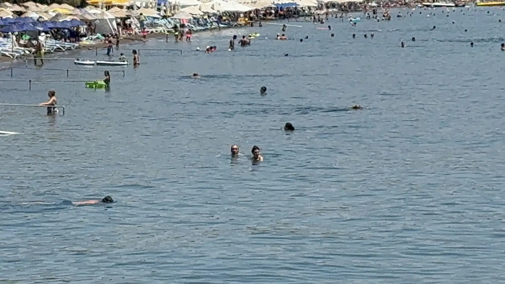 Bodrum'da termometreler şaştı, sahillerde iğne atsan yere düşmedi