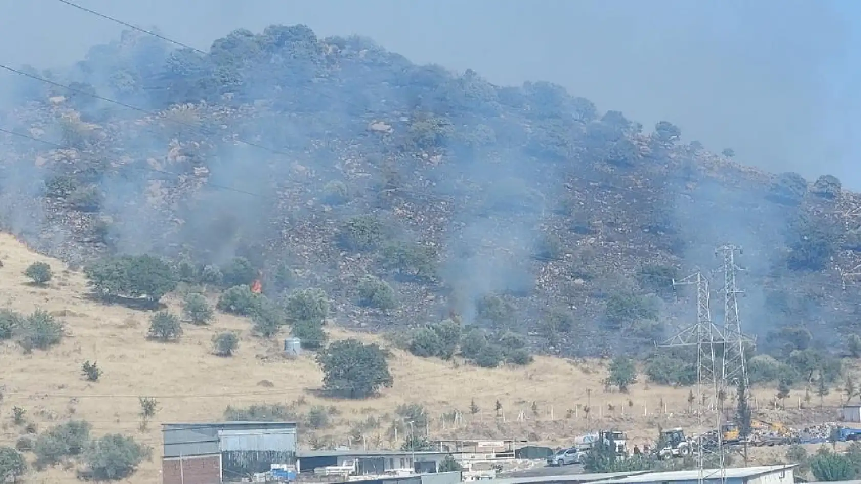 İzmir Dikili'de orman yangını: Çanakkale yolu ulaşıma kapatıldı