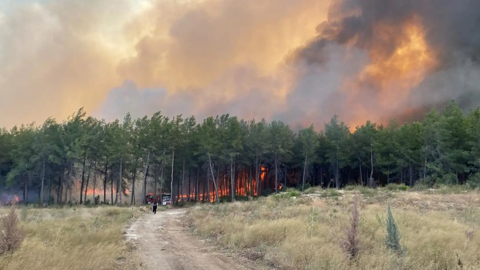 Antalya'da orman yangını