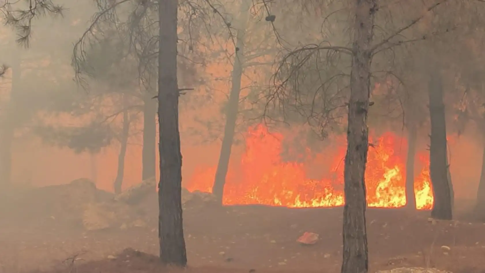 Antalya'da orman yangını