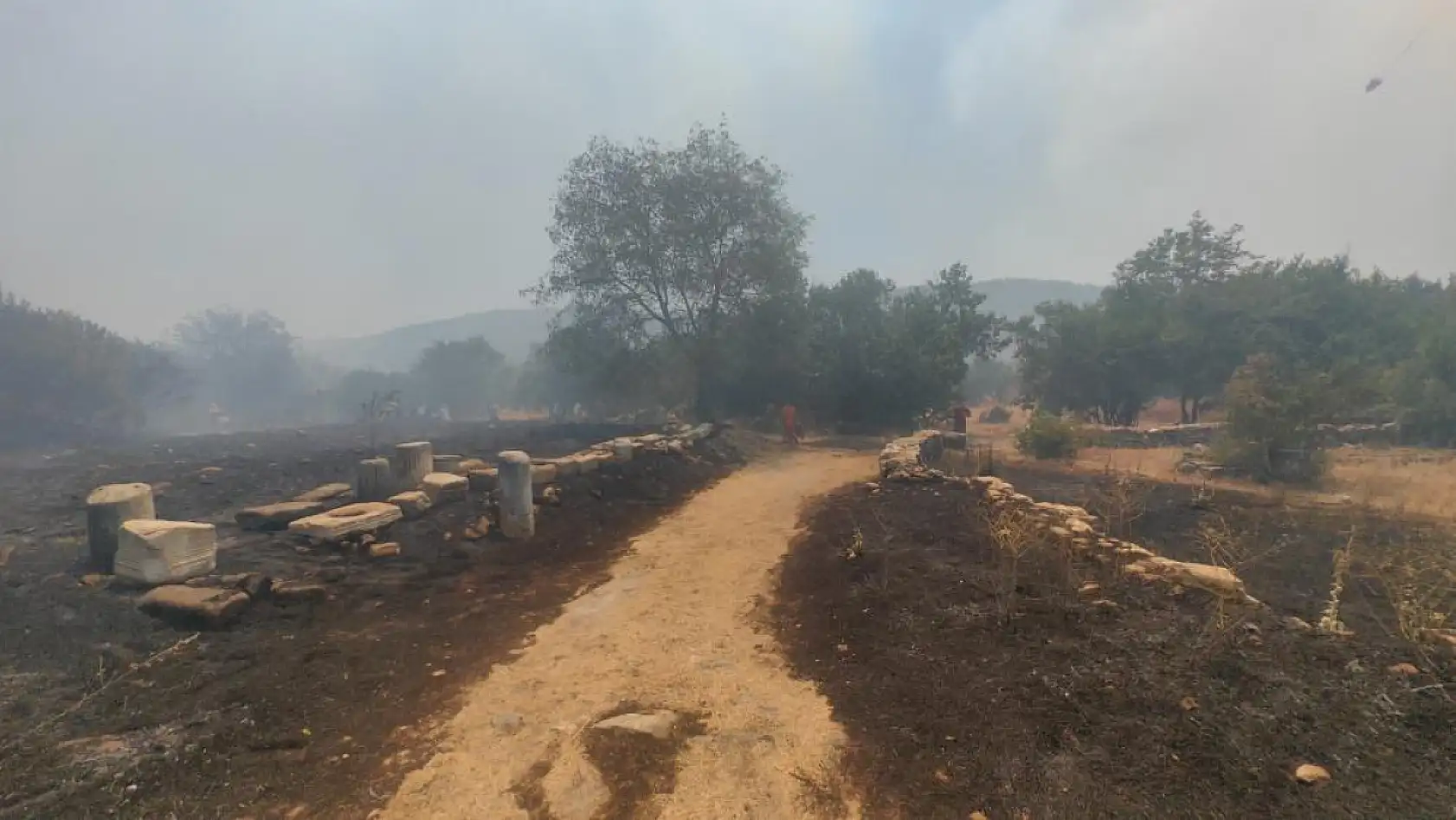 Muğla'daki yangın Stratonikia Antik kentindeki zirai alanda etkili oluyor