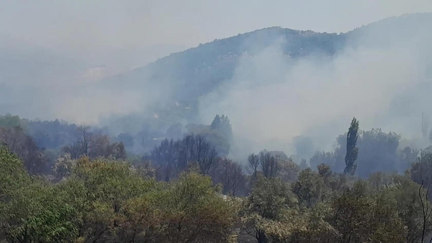 Muğla'daki yangın Stratonikia Antik kentindeki zirai alanda etkili oluyor