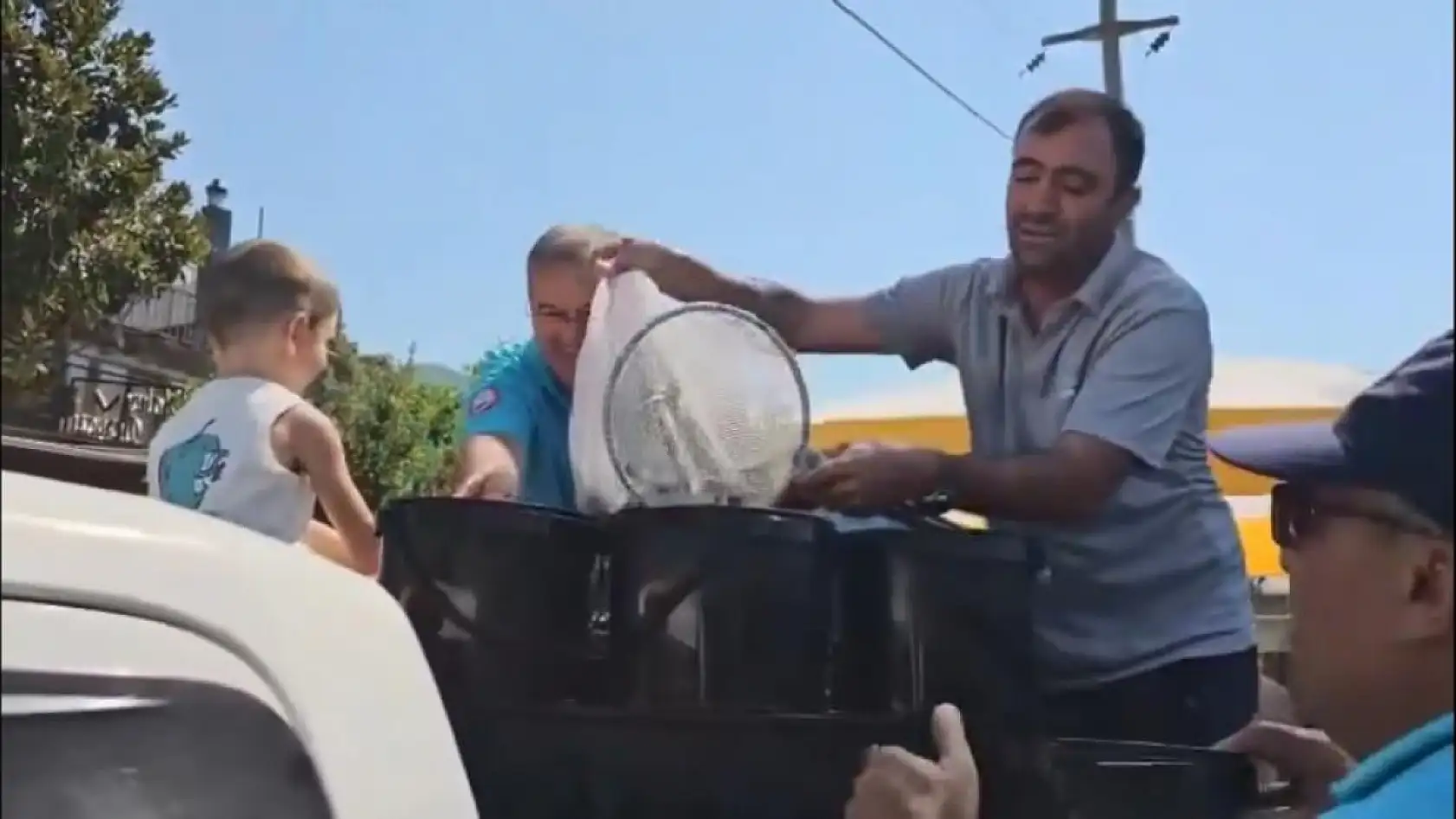 Muğla Kadın Azmağı'na 35 Bin Levrek Yavrusu Bırakıldı