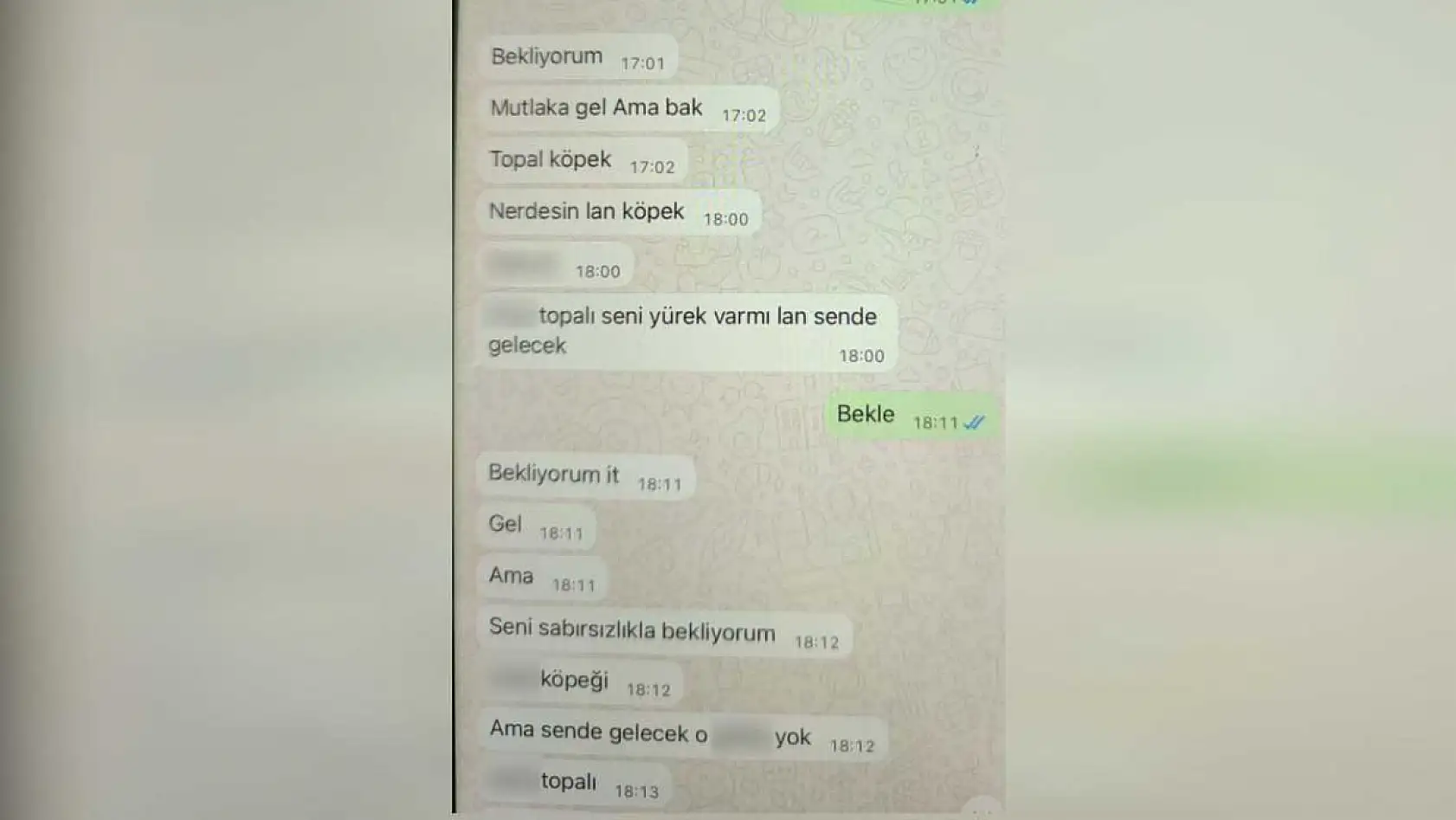 Eşi, gözünün önünde kayınbabası tarafından öldürülen kadın, dehşet anlarını anlattı