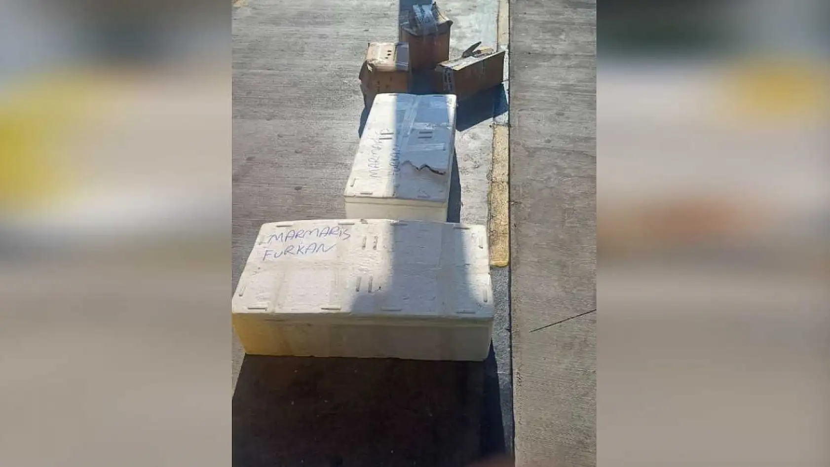 Muğla otobüs terminalinde sahipsiz midyelere el konuldu