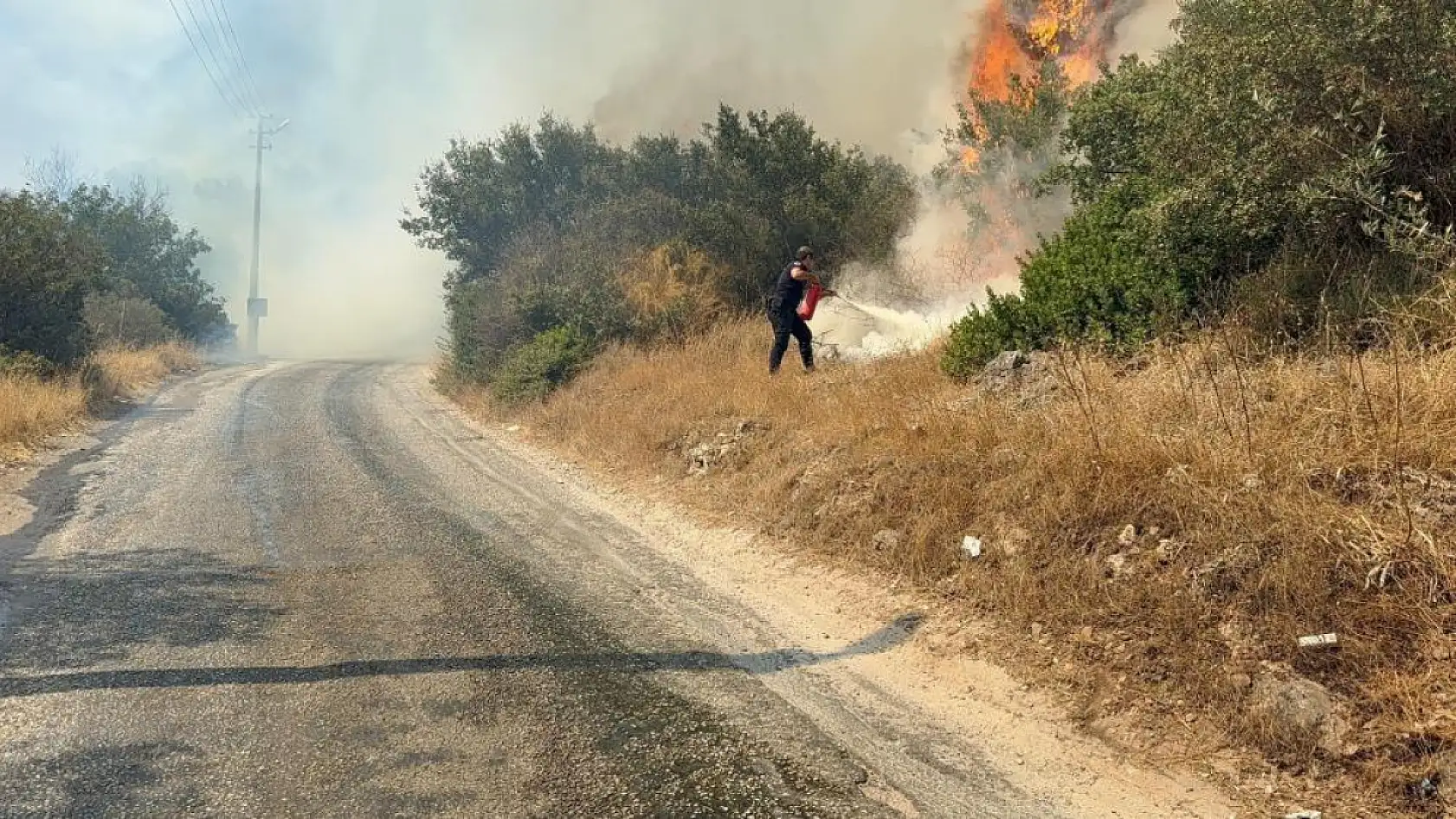 Bodrum'da makilik alanda yangın paniği: 'Havadan ve karadan müdahale sürüyor'