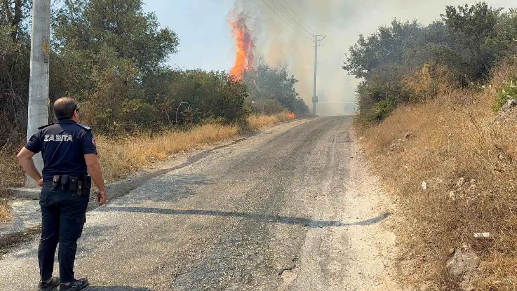 Bodrum'da makilik alanda yangın paniği: 'Havadan ve karadan müdahale sürüyor'