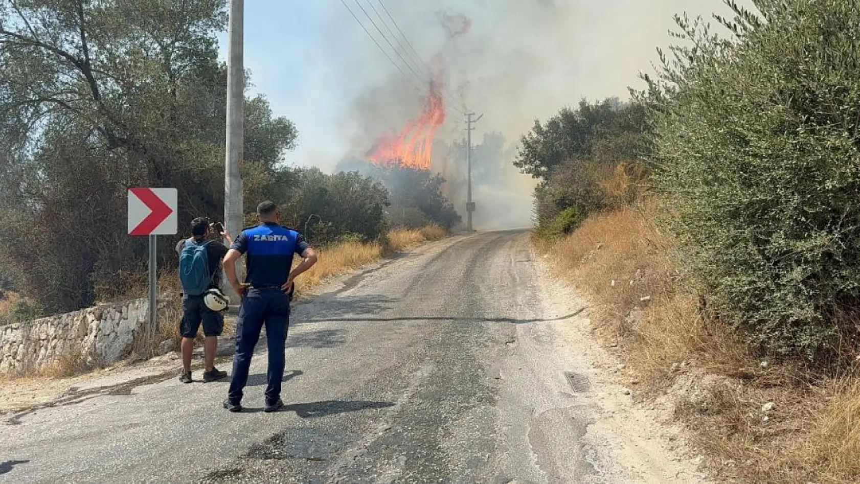 Bodrum'da makilik alanda yangın paniği: 'Havadan ve karadan müdahale sürüyor'