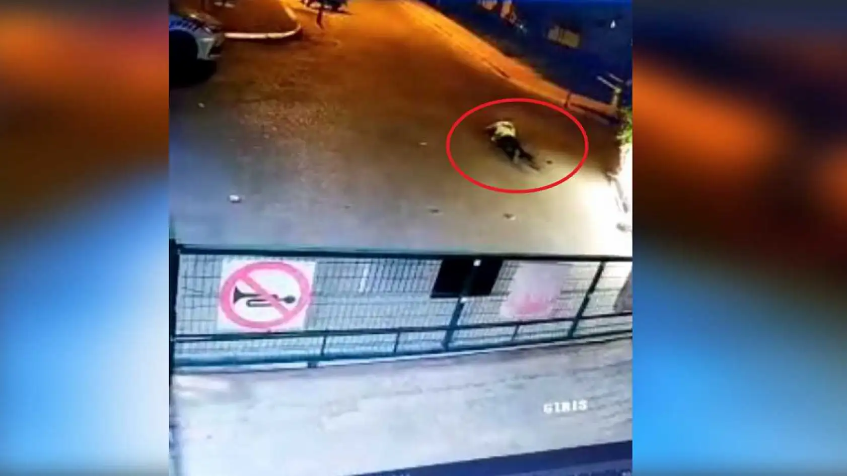 Denetimi görünce kaçan alkollü sürücü, önüne çıkan polislere çarpıp kaçtı