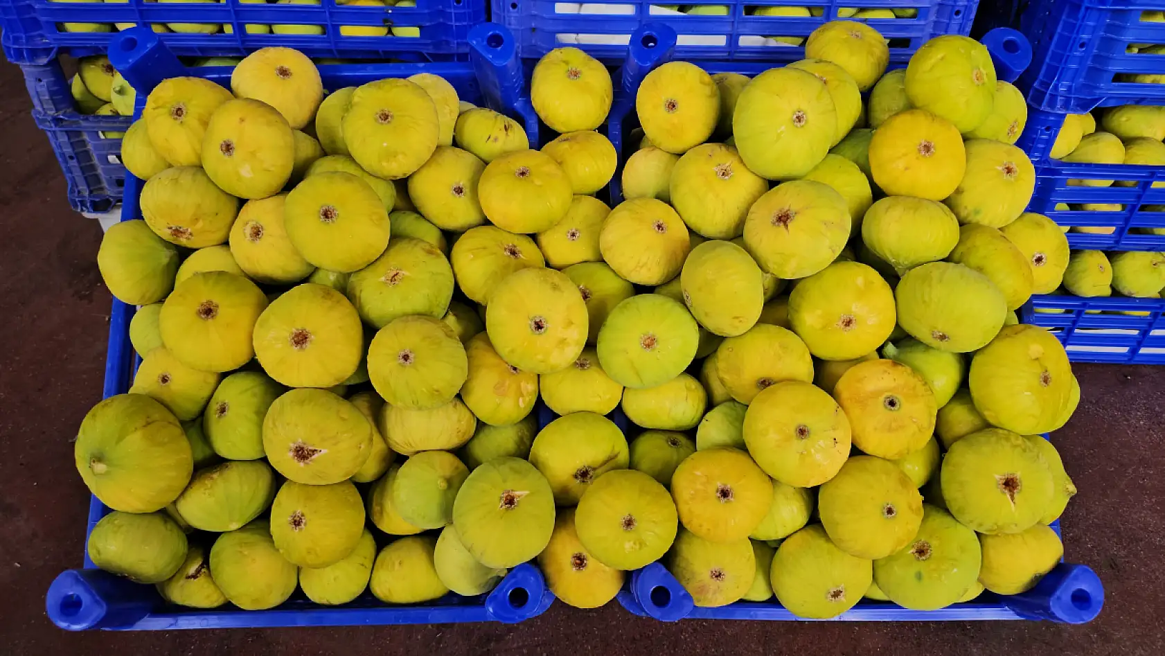 Damak çatlatan lezzeti taze incir, sofralarda yerini aldı