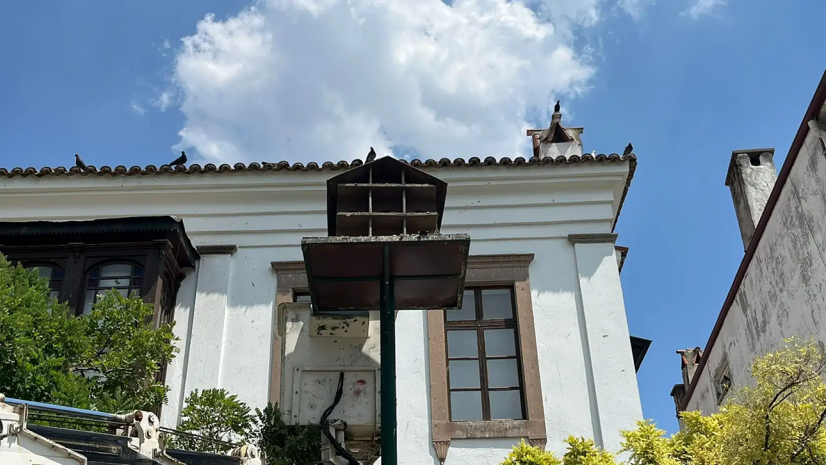 Menteşe'de güvercin yuvalarında temizlik yapıldı