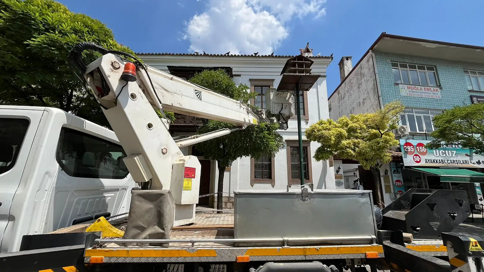 Menteşe'de güvercin yuvalarında temizlik yapıldı