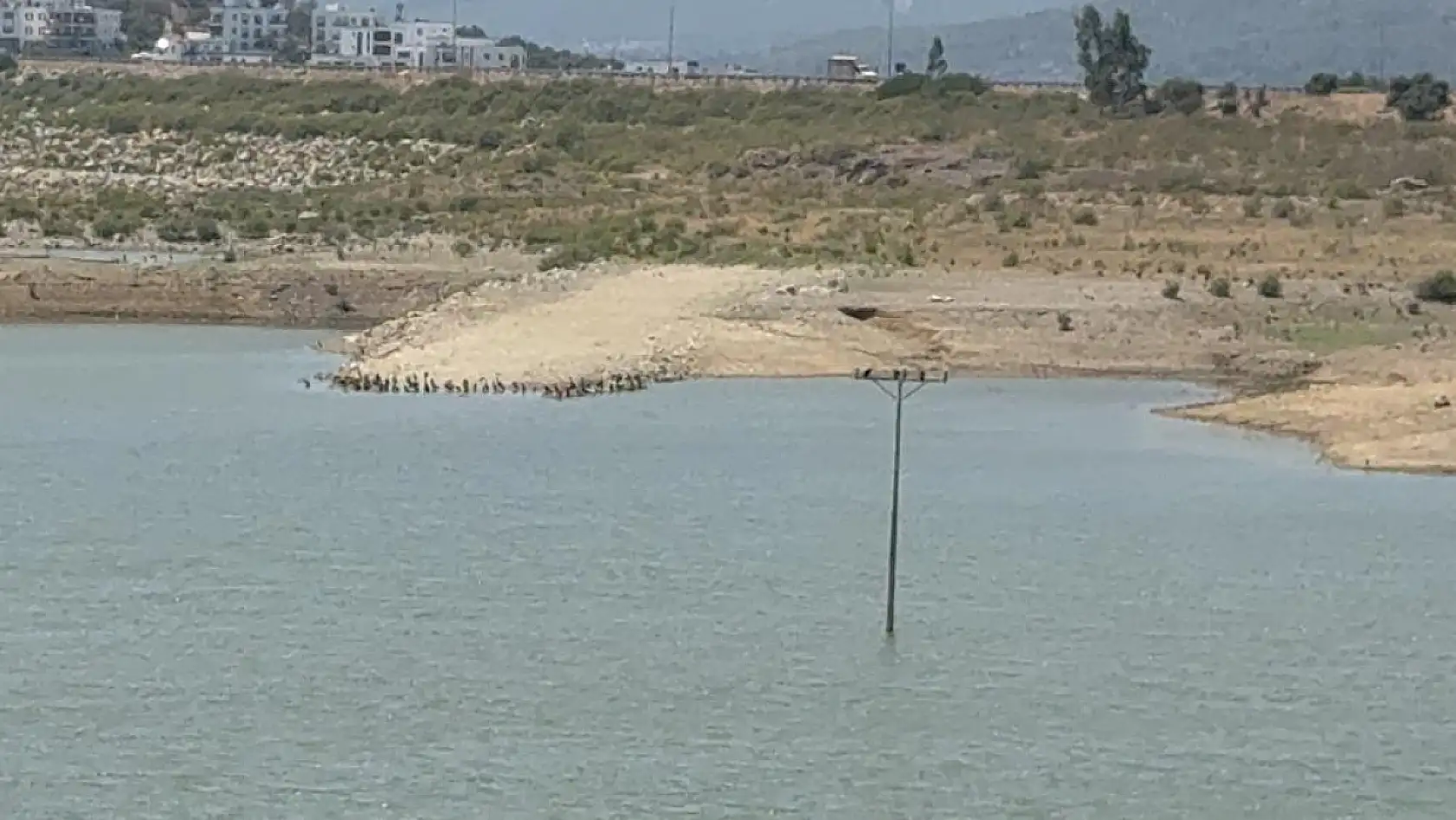 Bodrum'da su alarmı: 'Barajlar kritik seviyeye geriledi'