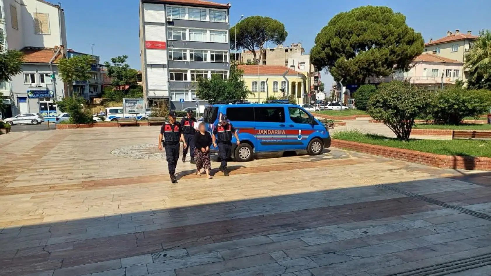 Kayınpeder öfkesi 3 hektarı küle çevirdi