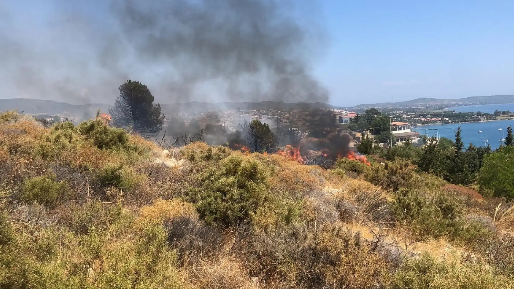 Datça'da makilik yangını kontrol altına alındı