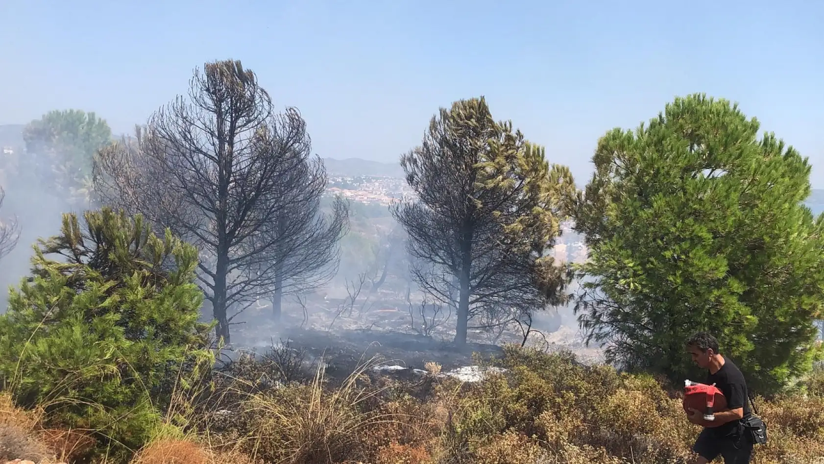 Datça'da makilik yangını kontrol altına alındı