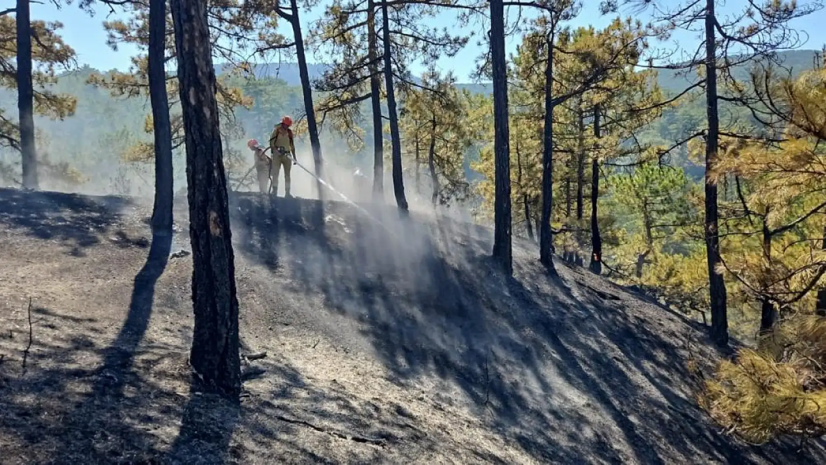 Denizli'deki orman yangınına köylüler de destek verdi