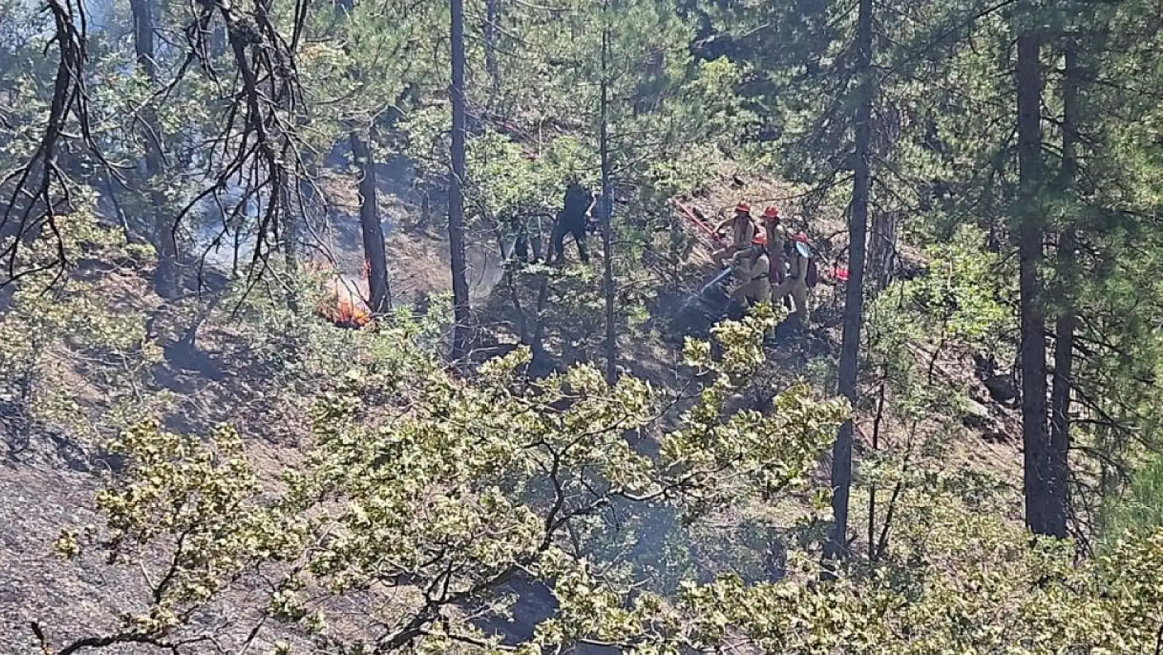 Denizli'deki orman yangınına köylüler de destek verdi