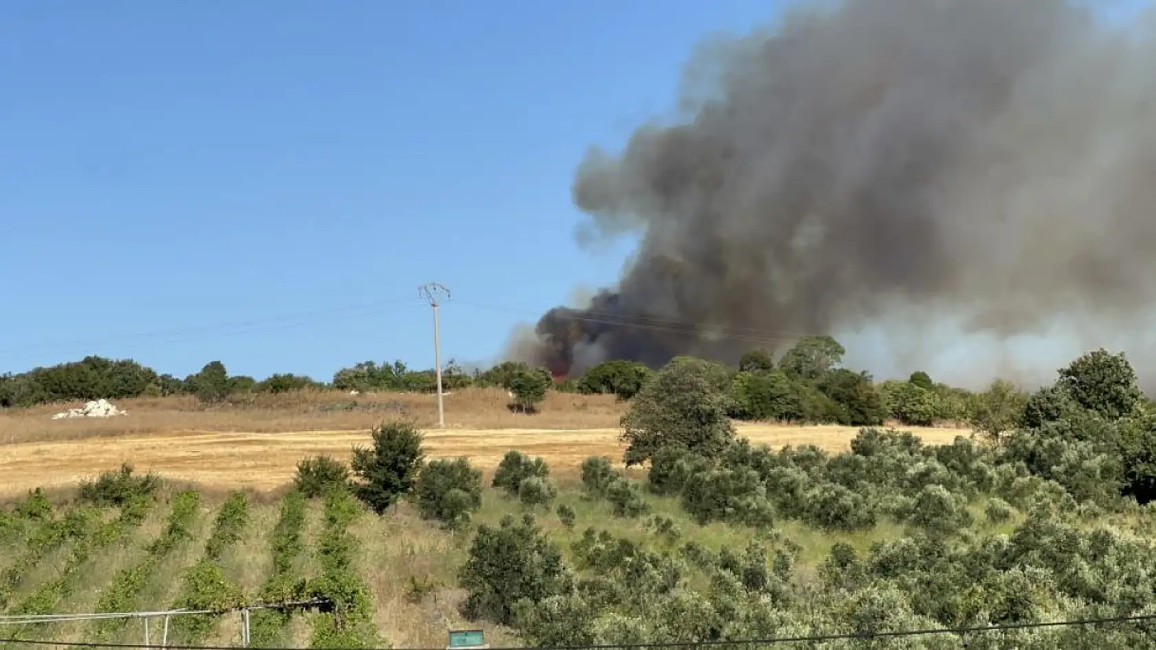 Çanakkale Lapseki'deki orman yangınını söndürme çalışmaları sürüyor