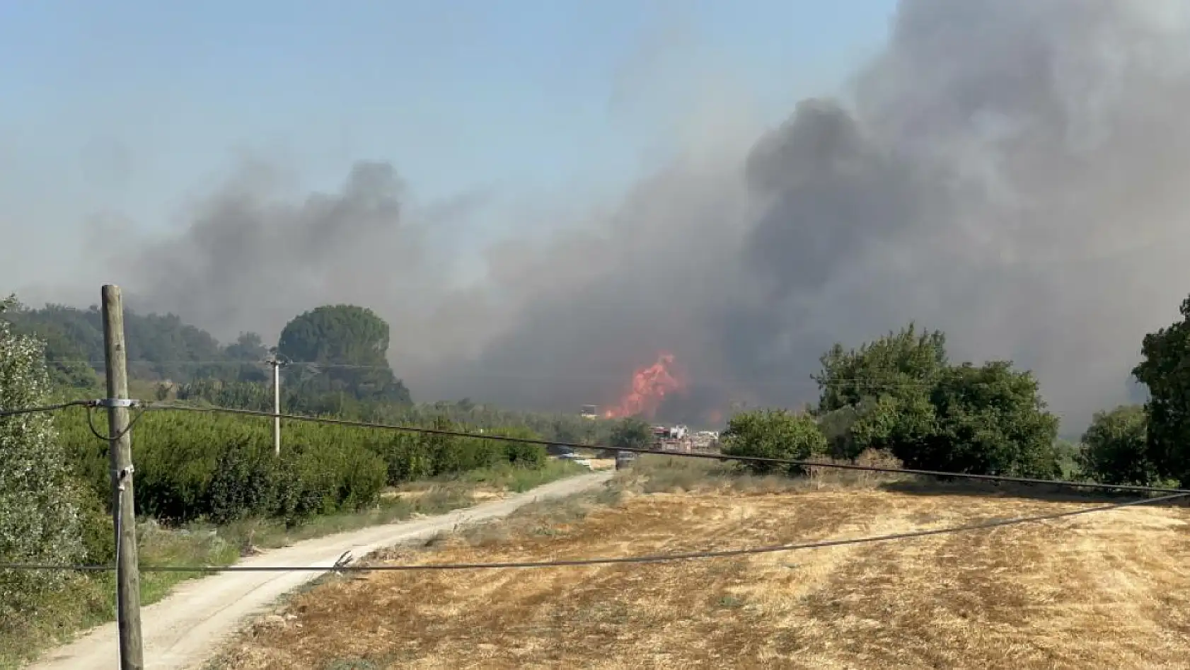 Çanakkale Lapseki'deki orman yangınını söndürme çalışmaları sürüyor