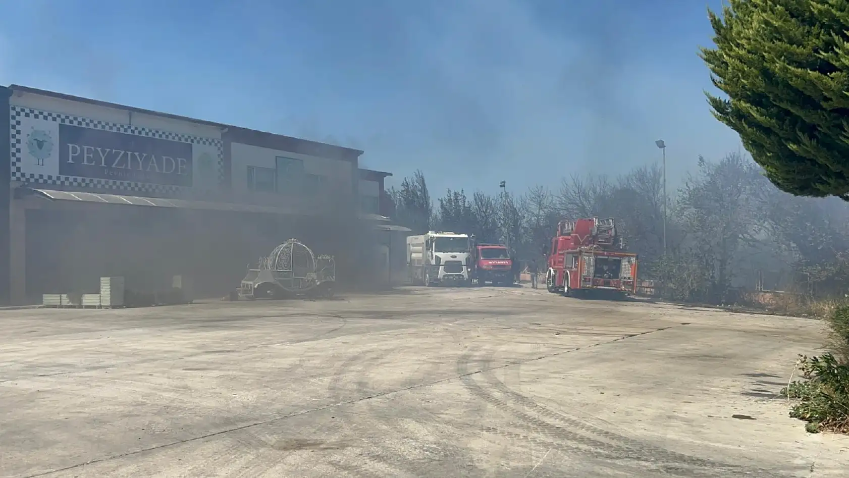 Çanakkale'de yangın işletmelere sıçradı