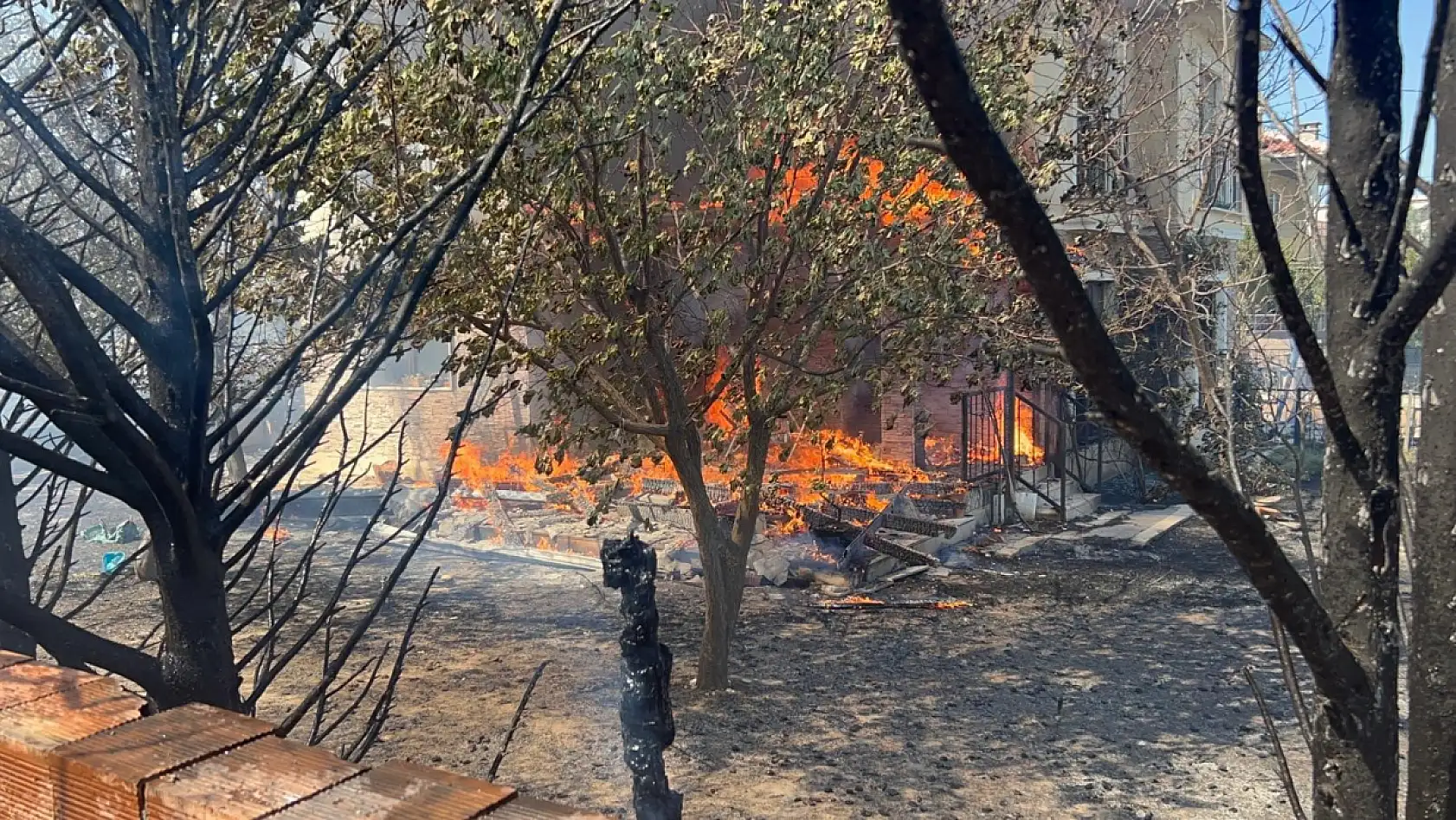 Çanakkale'de ormanlık alana sıçrayan yangında villalar yandı