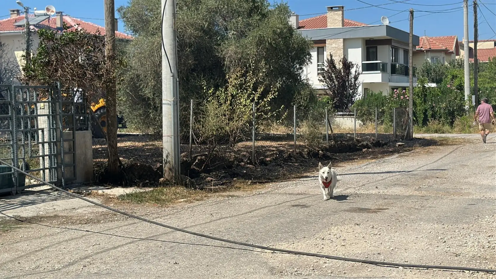 Çanakkale'de ormanlık alana sıçrayan yangında villalar yandı