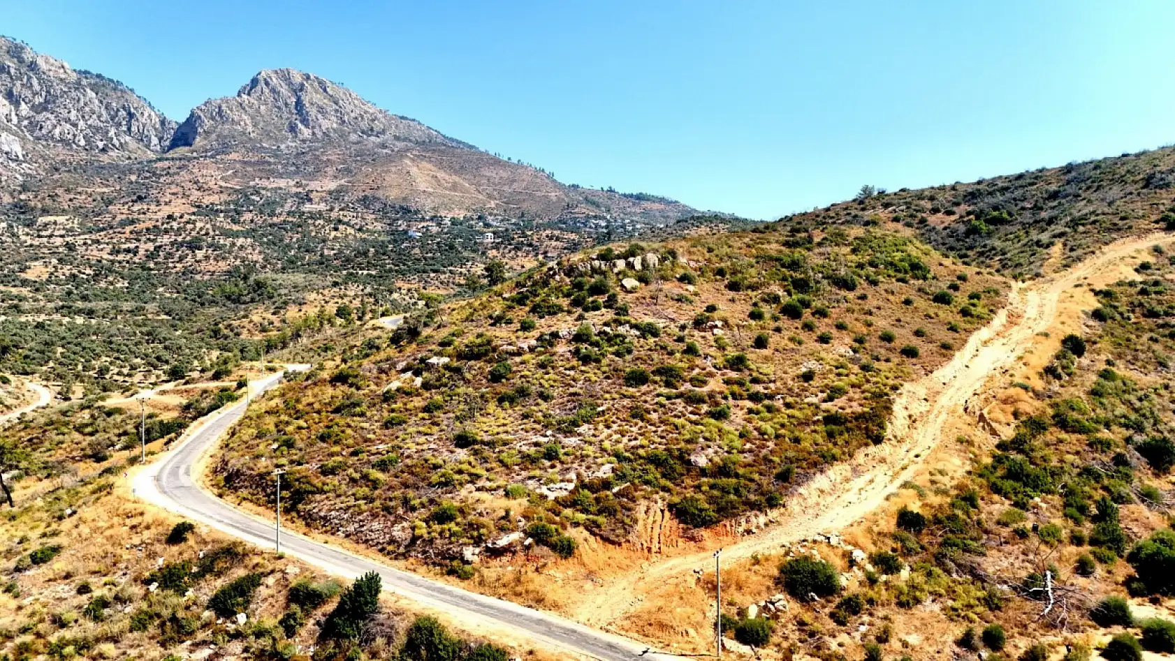 Çökertme'de küle dönen ormanlar 5 yılda yeniden hayat buldu