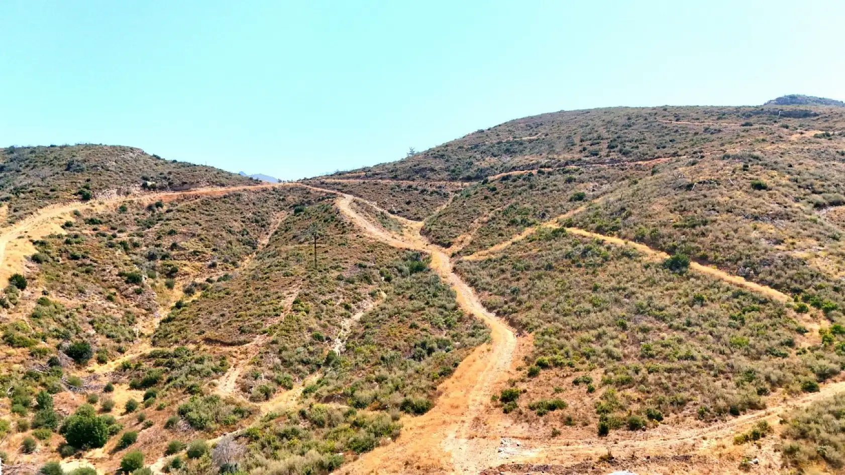 Çökertme'de küle dönen ormanlar 5 yılda yeniden hayat buldu