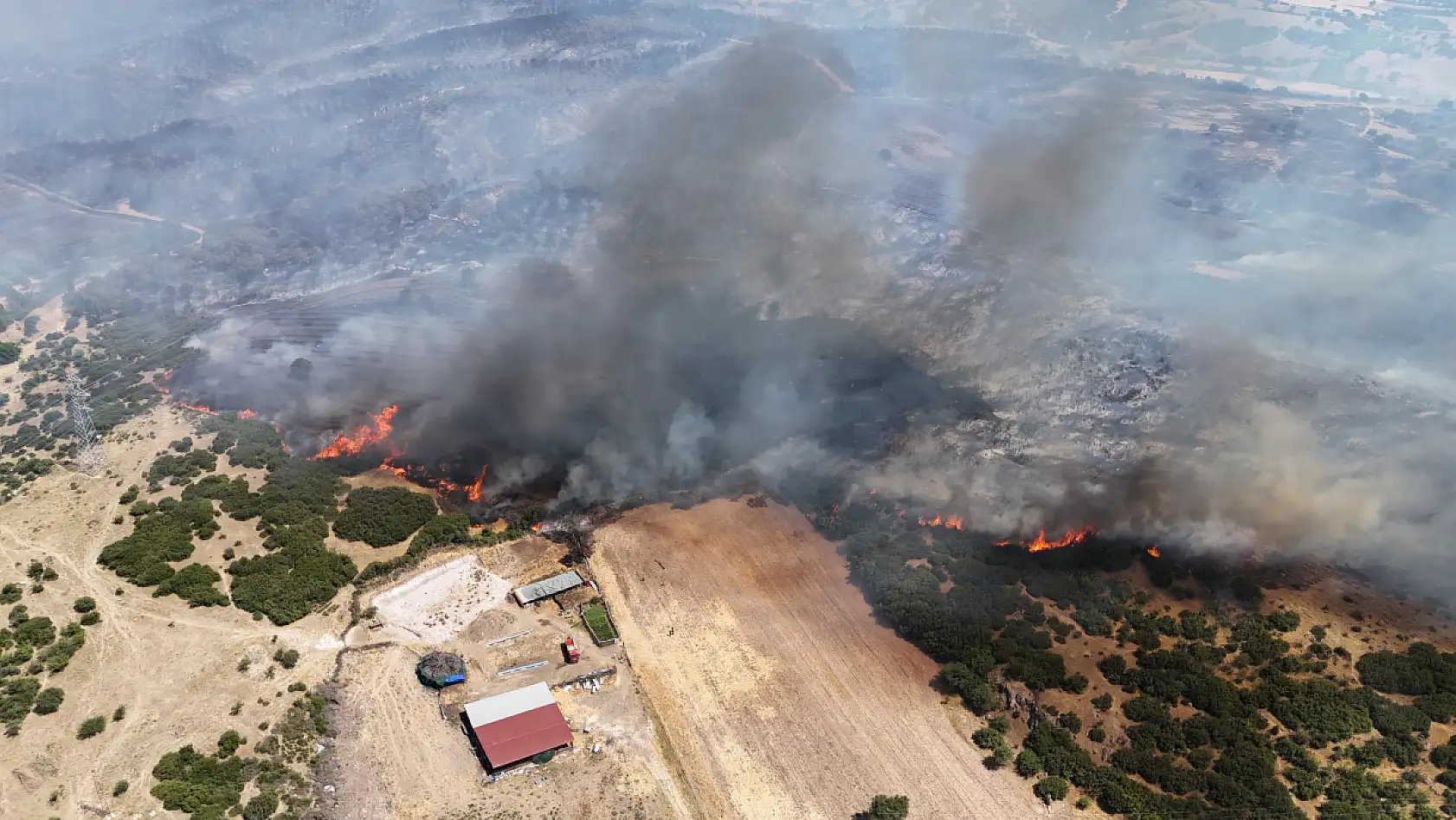 Yangınlara karşı keçi çözümü