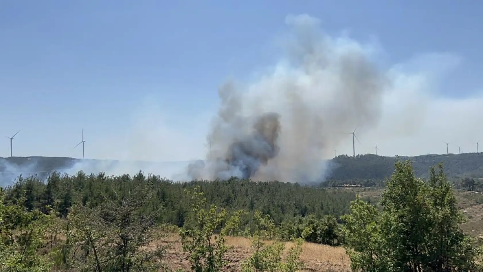 Çanakkale'de orman yangını