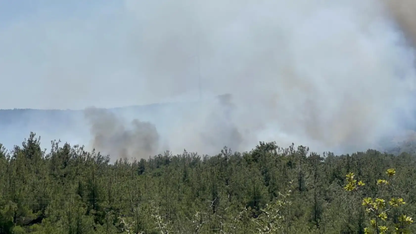 Çanakkale'de orman yangını