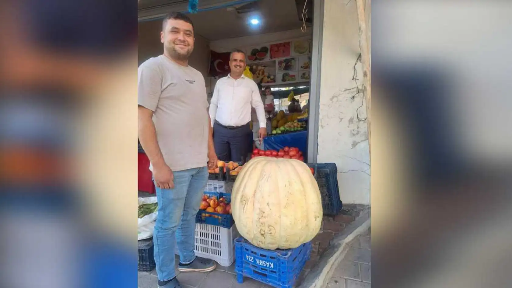 85 Kiloluk Dev Bal Kabağı Herkesi Şaşırttı
