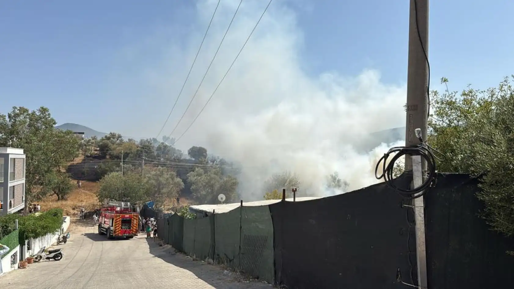 Bodrum'da otluk ve zeytinlik alanda yangın