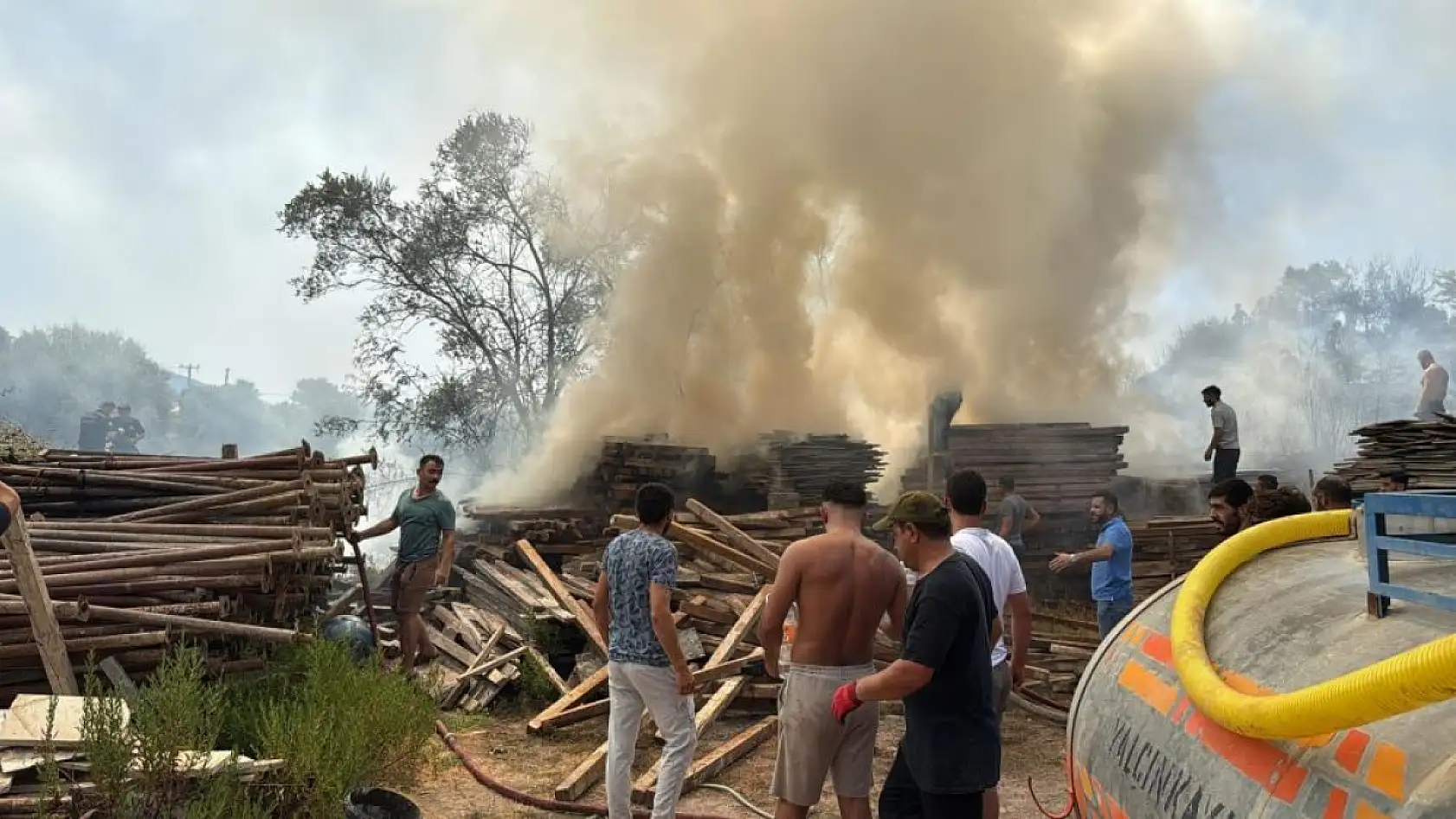 Bodrum'da otluk ve zeytinlik alanda yangın