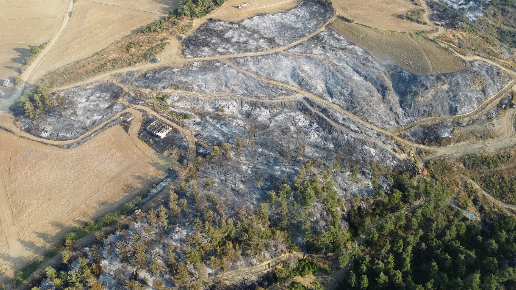 Gelibolu'da çıkan orman yangınının verdiği tahribat dron ile görüntülendi