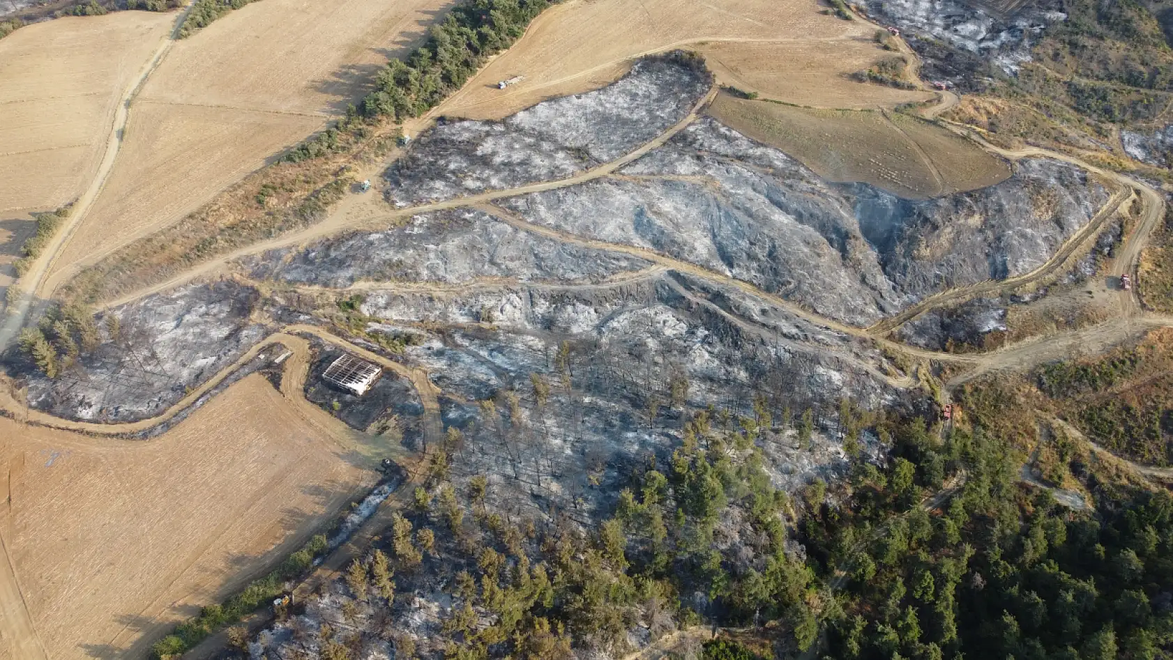 Gelibolu'da çıkan orman yangınının verdiği tahribat dron ile görüntülendi