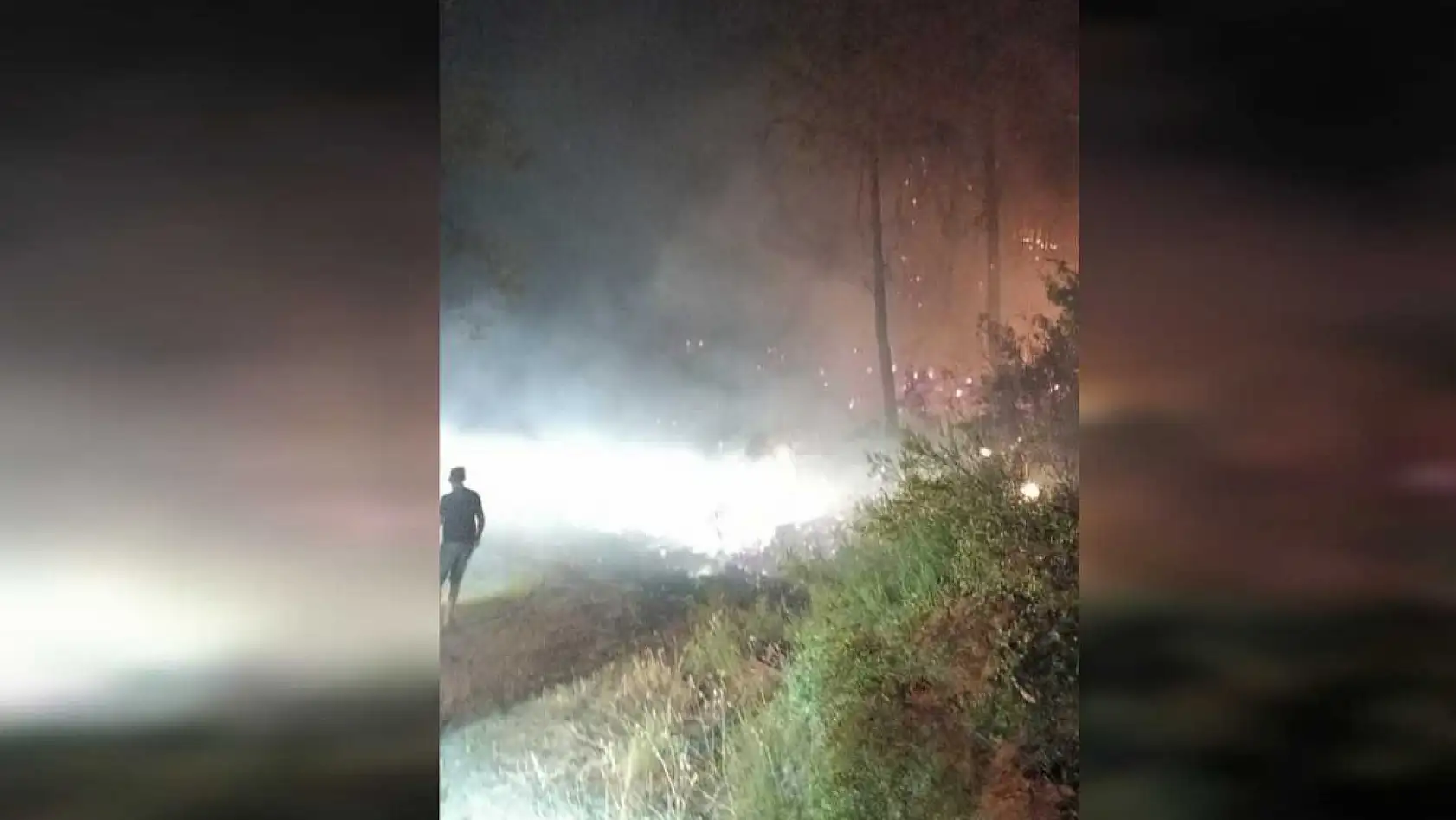 Köyceğiz'de Orman yangını, ekiplerin hızlı müdahalesi ile yangın kontrol altına alındı