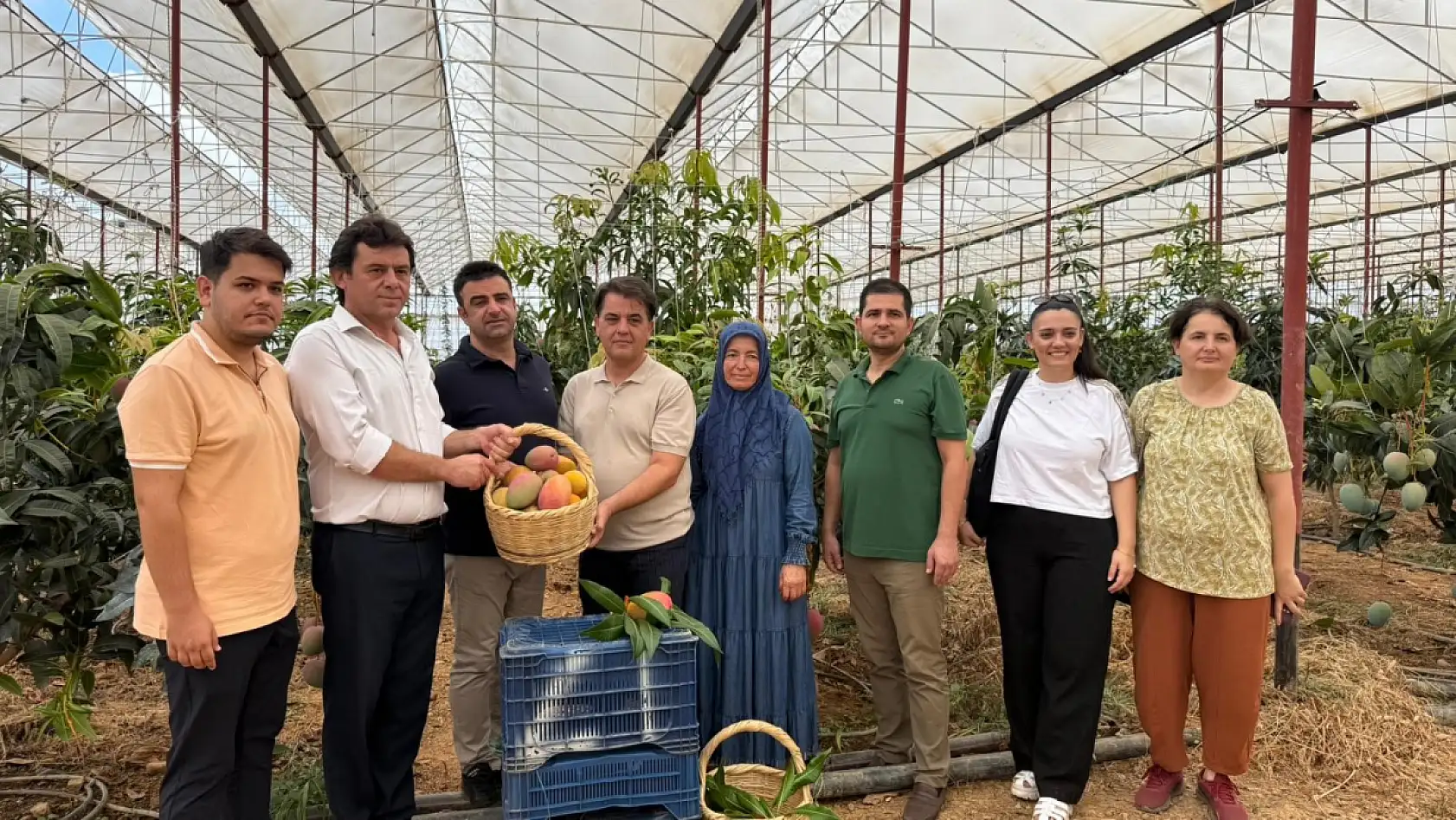 30 yıl önce deneme amaçlı ilk fidan dikildi, bugün 300 dönümden fazla alanda üretiliyor