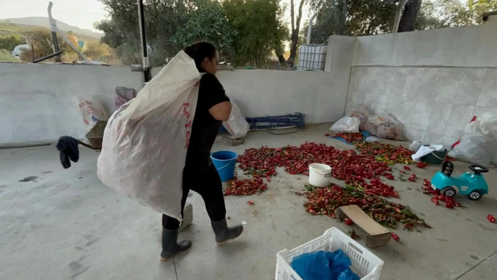 Muğla'da üniversite mezunu genç kadın, köyünde üretim merkezi kurdu